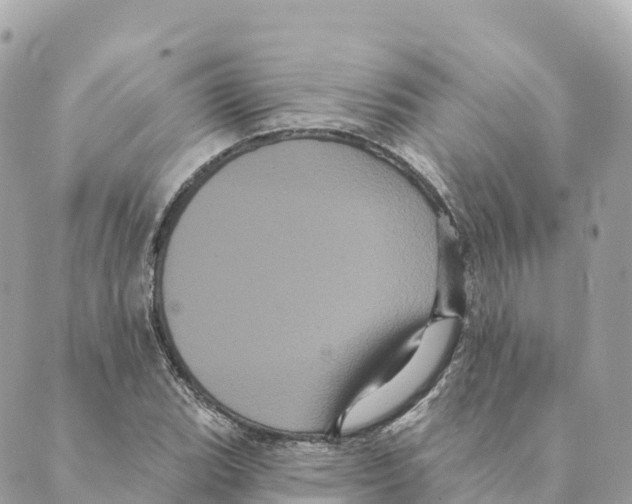 X0000088591119200706221334