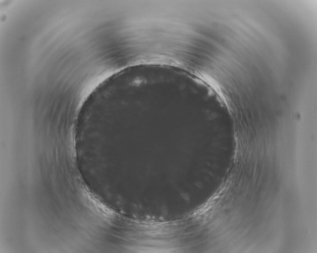 X0000088591120200706221334