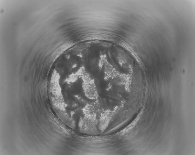 X0000088591121200706221334