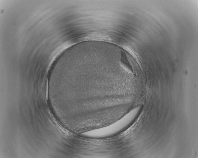 X0000088591123200706221334