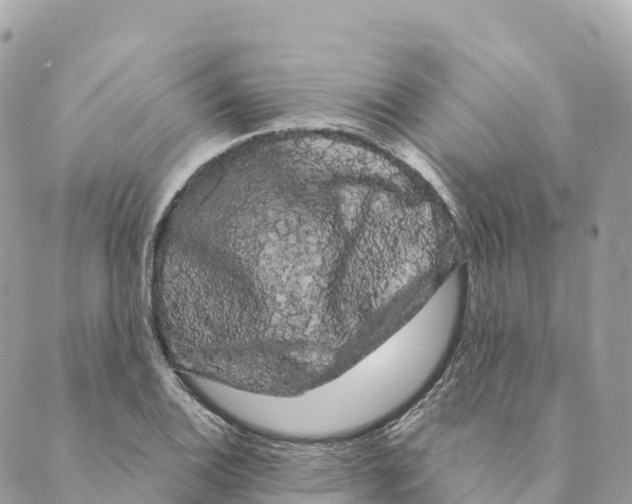 X0000088591124200706221334