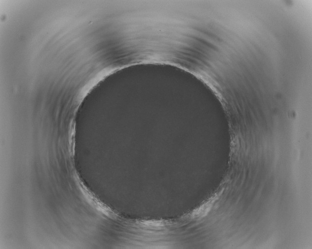 X0000088591126200706221334