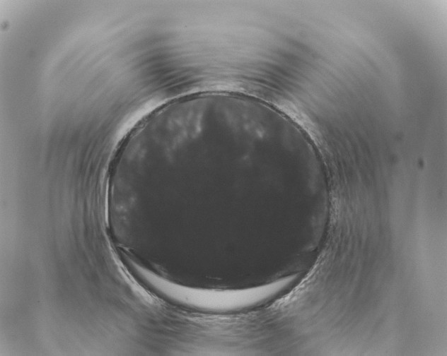 X0000088591127200706221334