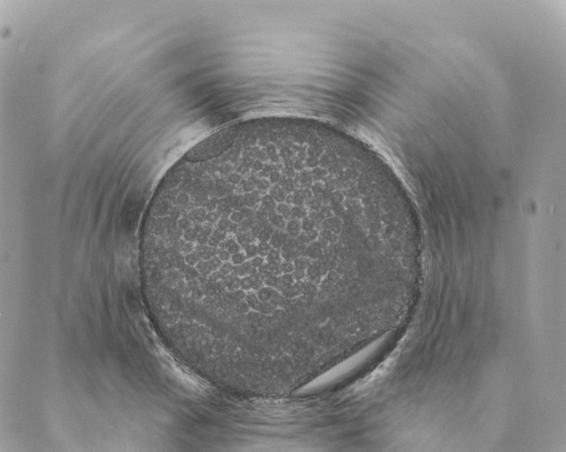 X0000088591129200706221334