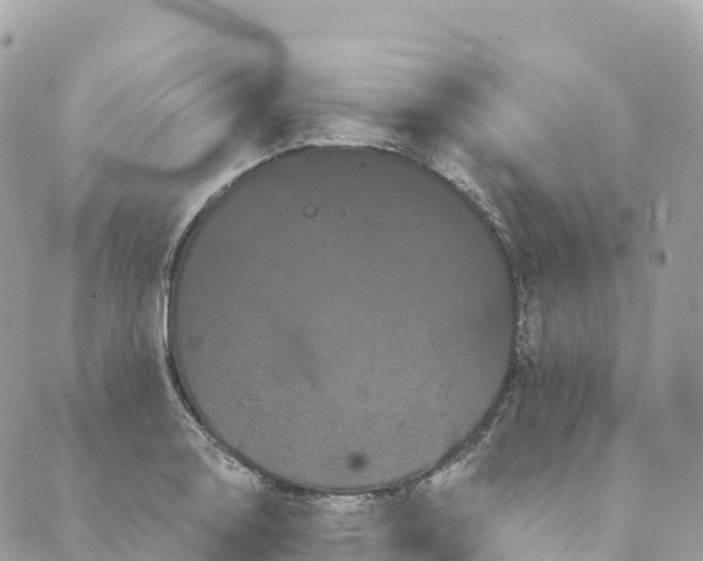 X0000088591130200706221334