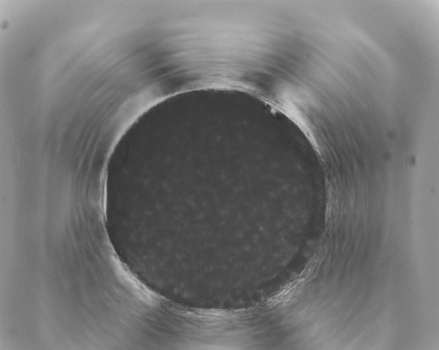 X0000088591132200706221334