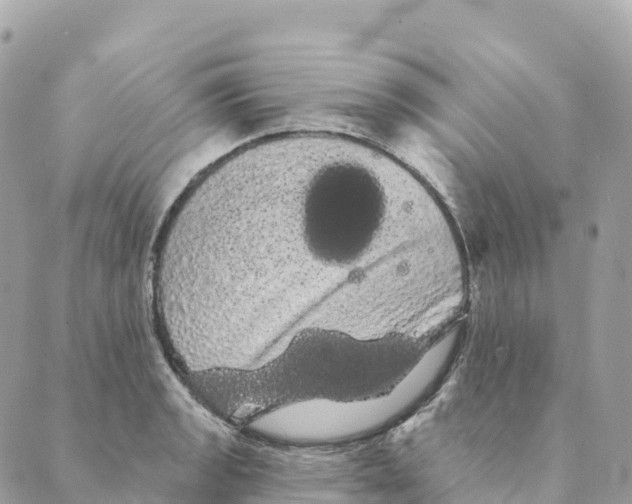 X0000088591133200706221334