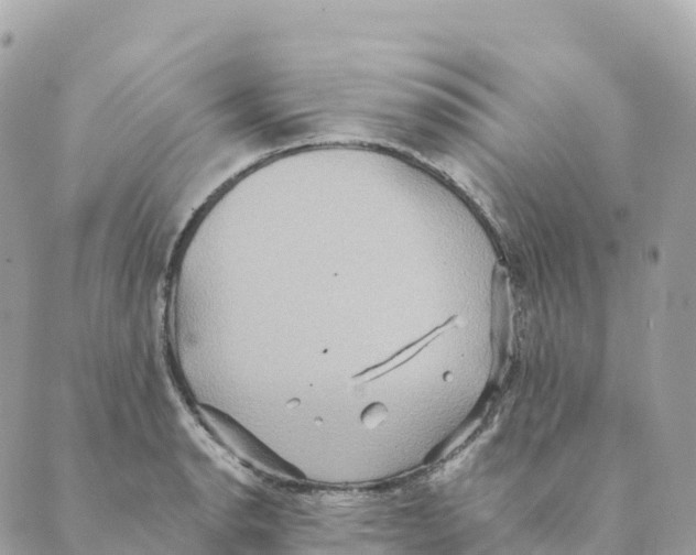 X0000088591134200706221334