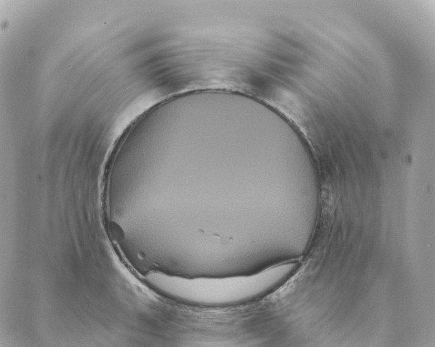 X0000088591135200706221334