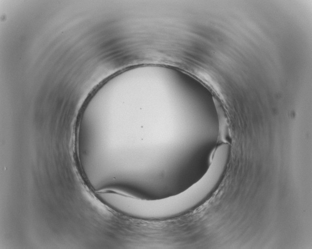 X0000088591136200706221334