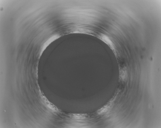 X0000088591138200706221334