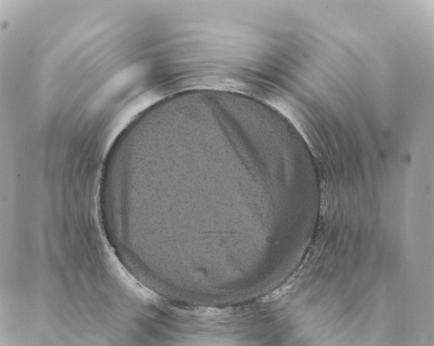 X0000088591139200706221334