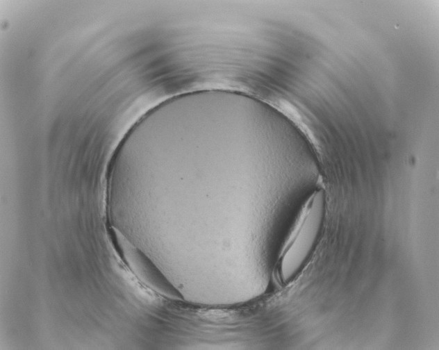 X0000088591140200706221334