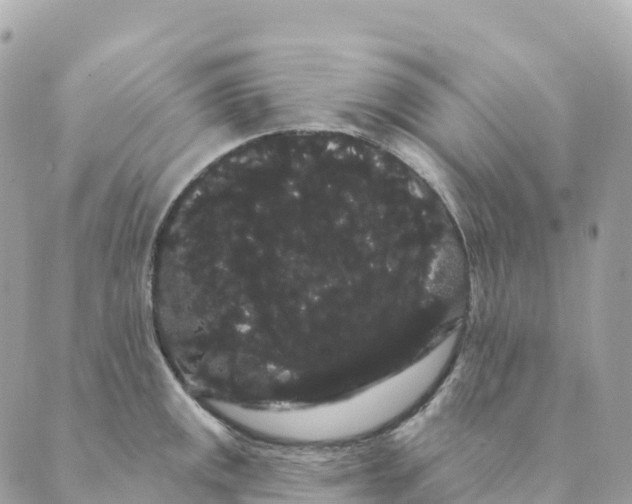 X0000088591141200706221334