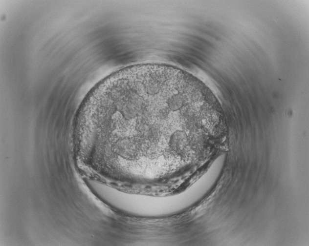 X0000088591142200706221334