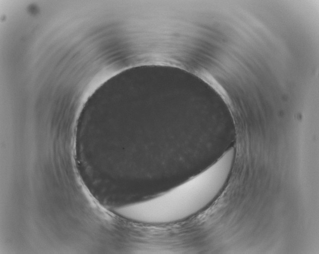 X0000088591144200706221334