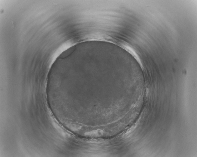 X0000088591146200706221334