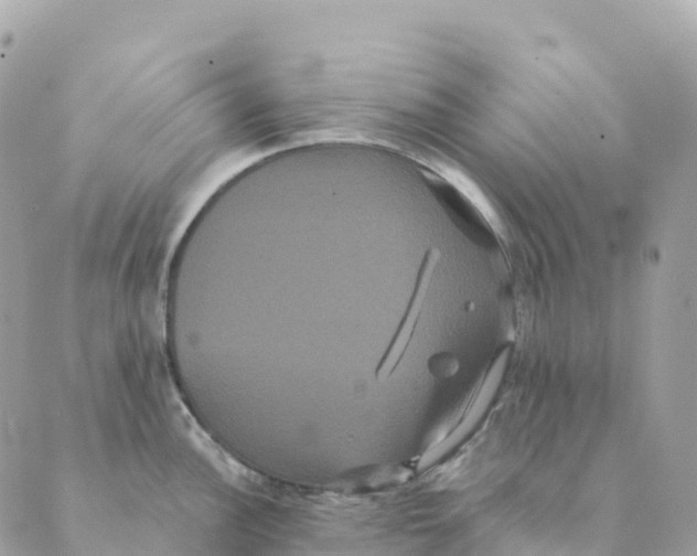 X0000088591148200706221335