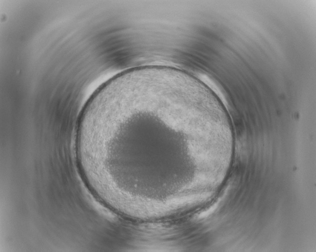 X0000088591149200706221335