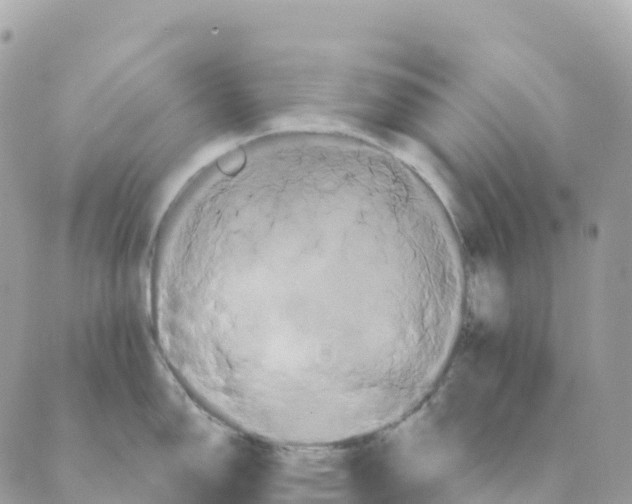 X0000088591150200706221335