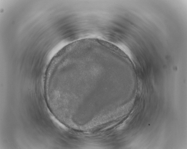 X0000088591151200706221335