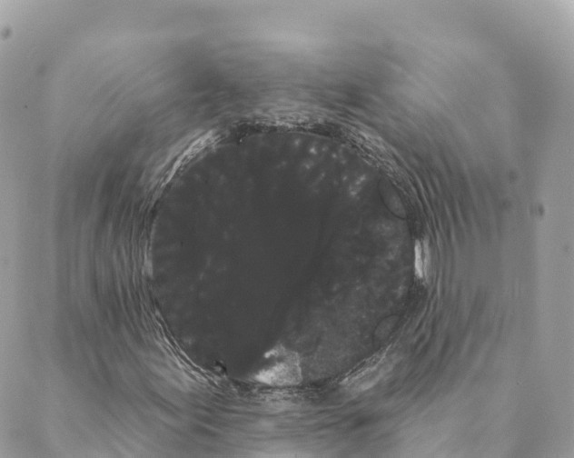 X0000088591155200706221334