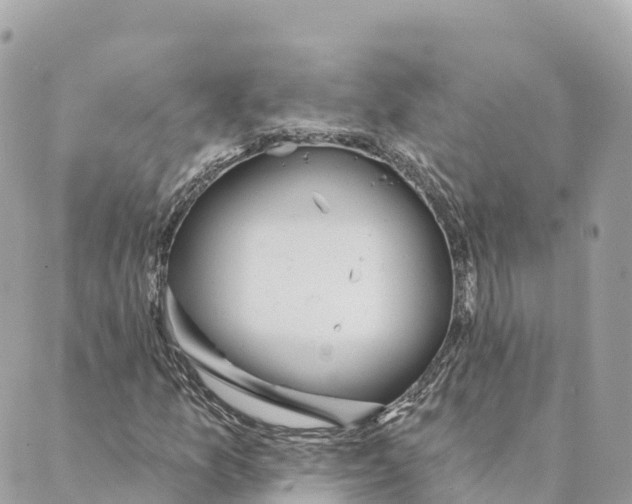 X0000088591157200706221334