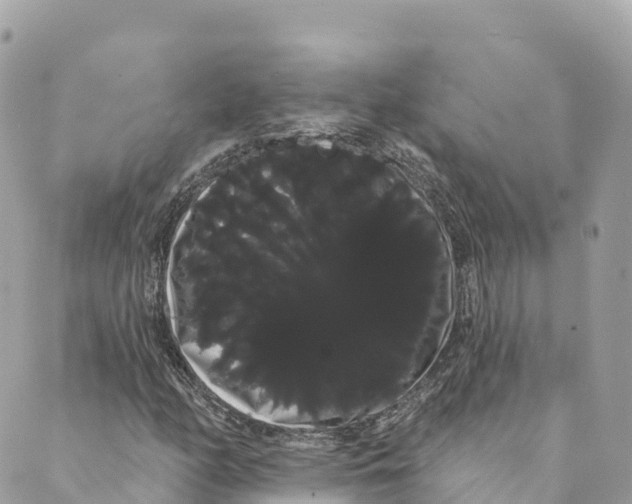 X0000088591158200706221334