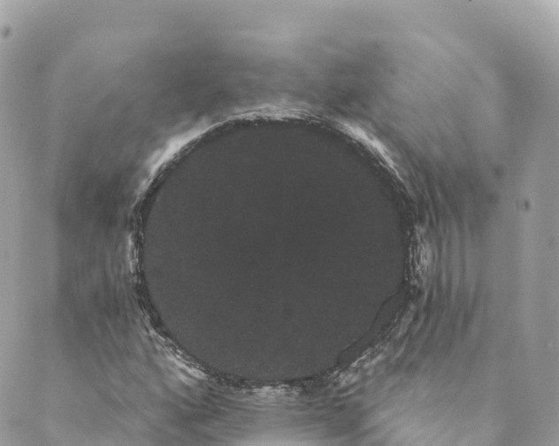 X0000088591160200706221334