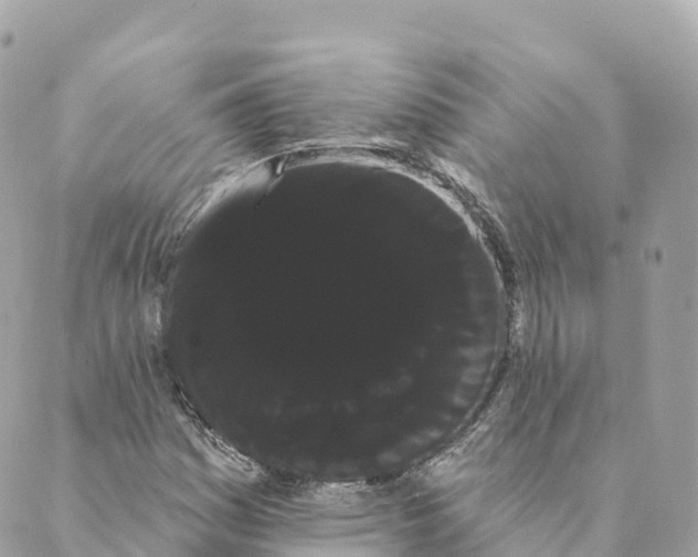 X0000088591161200706221334