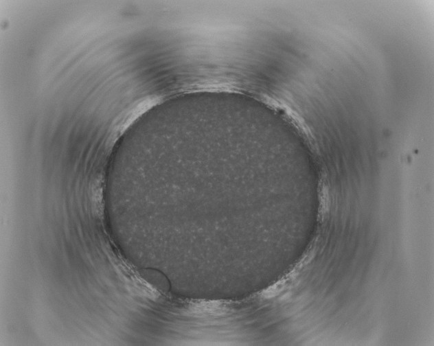 X0000088591162200706221334