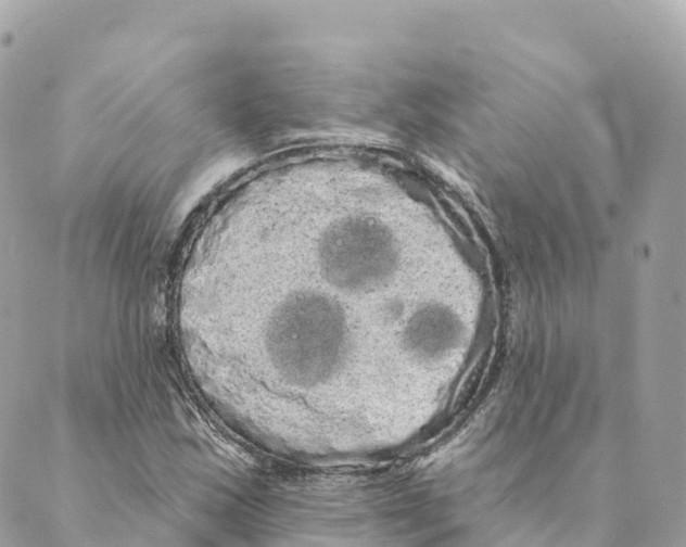 X0000088591163200706221334