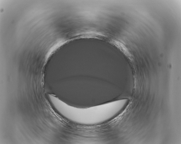 X0000088591164200706221334