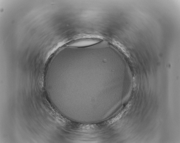 X0000088591165200706221334