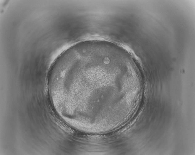 X0000088591167200706221334