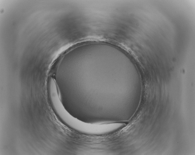 X0000088591168200706221334