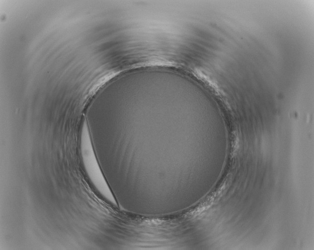 X0000088591169200706221334