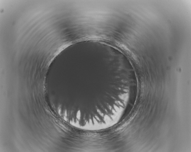 X0000088591170200706221334