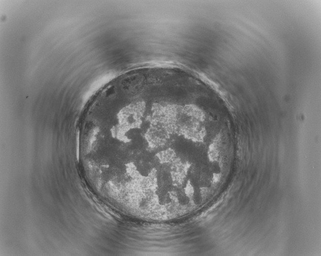 X0000088591171200706221334