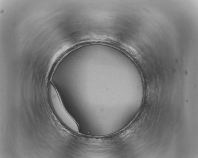 X0000088591172200706221334