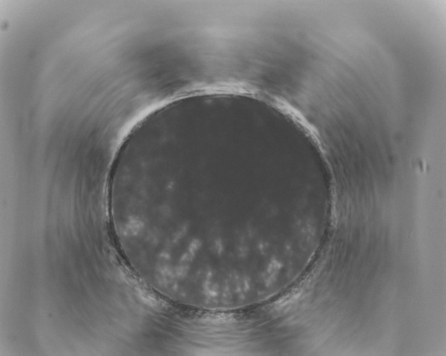 X0000088591174200706221333