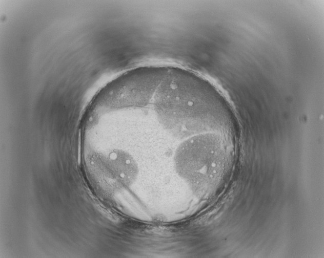 X0000088591175200706221333