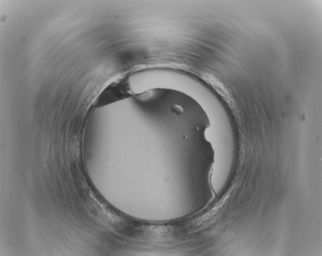 X0000088591177200706221333