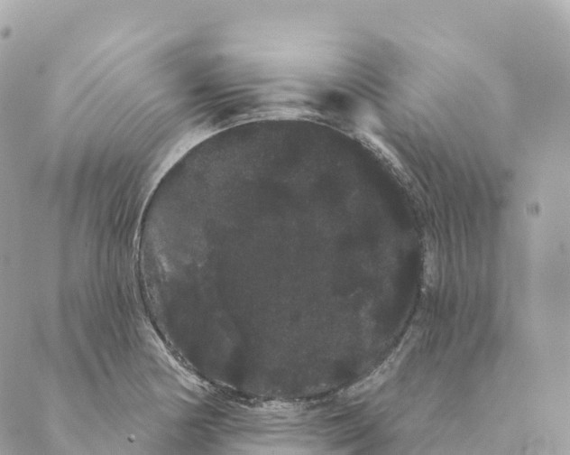 X0000088591178200706221333