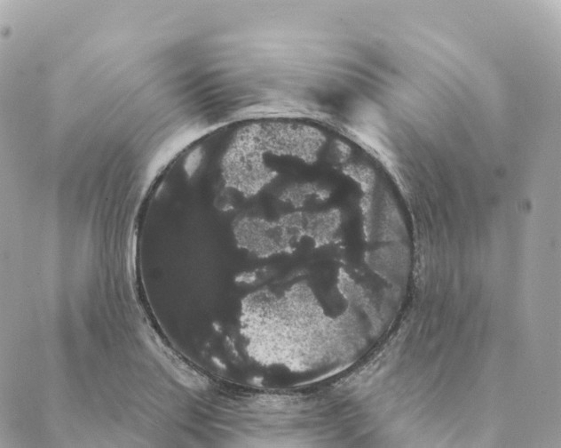 X0000088591179200706221333