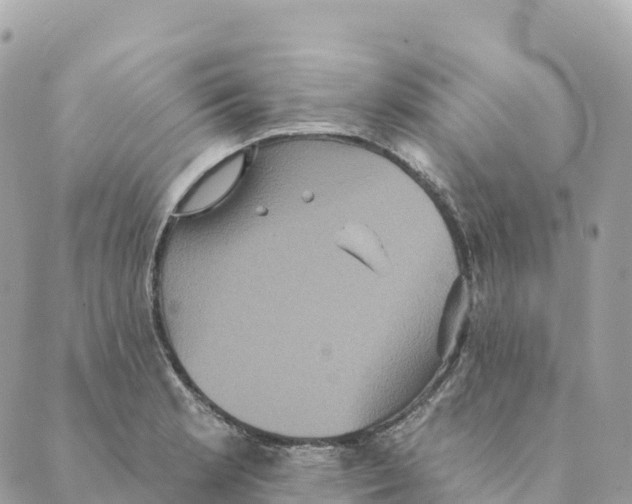 X0000088591181200706221333