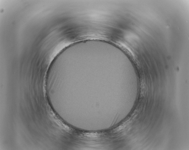 X0000088591182200706221333