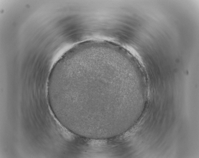 X0000088591183200706221333