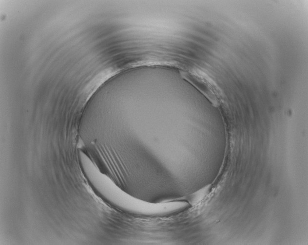 X0000088591185200706221333