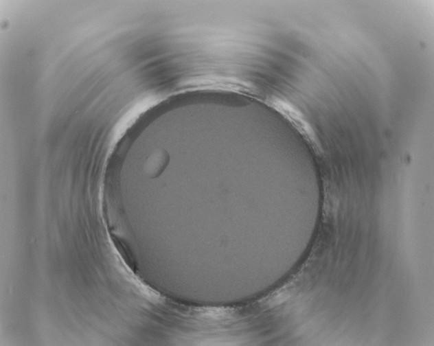 X0000088591188200706221333